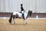 SBM_008781