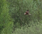 20100501-WE 140