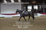 BPP_1824