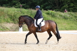 Pendarves Summer Dressage Series 11.06.2025 portfolio
