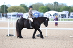 SBM_16717