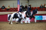 SBM_15177