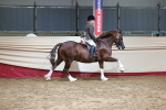 SBM_18734
