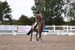 SBM_07919