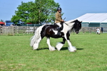 SBM_12172