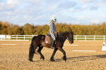 SBM_003255