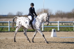 SBM_004250