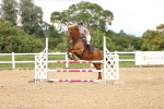 SBM_002997