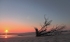 Tentsmuir sunrise