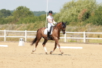 SBM_022280