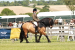SBM_07028