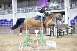 SBM_000976