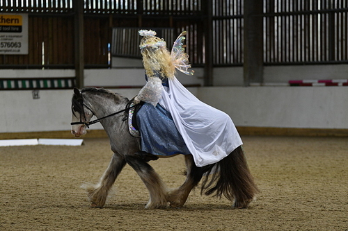 WJ5_2356