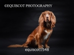 equiscot1548
