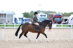 SBM_17078