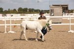 SBM_03809
