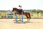 SBM_006357