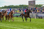150526-Race 3-Warrant Holder-7544