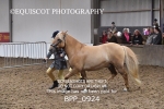 BPP_0924