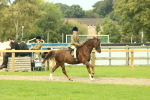SBM_69890