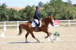 SBM_013875