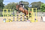 BPP_3021