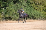 WJ6_6772
