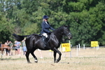 WJ7_9887