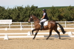 SBM_003768