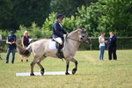 WJ6_6104