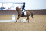 SBM_001931