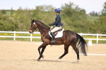 SBM_008037
