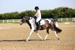 SBM_007442