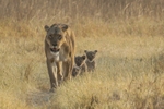 Family Outing