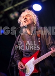 Albert Lee-12