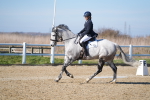 SBM_003286
