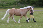 SIAL7268
