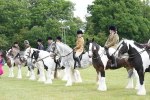 SBM_17321