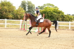 SBM_002008