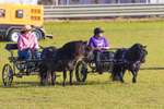 Harness Driving Challenge 2. 0A3A9569