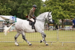 SBM_10954