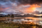 Killarney portfolio