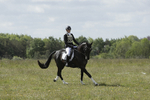 BVHT 140517 -227