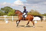 SBM_007494