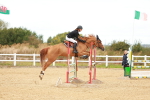SBM_001612