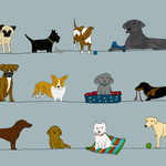 Lots of dogs