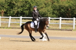 SBM_000281