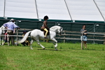 SBM_06061