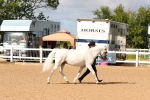 SBM_10989