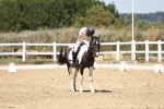 SBM_001613